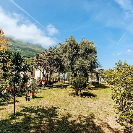 Bosco 33 *